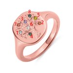 Personalized 1-8  Birthstone Family Tree Sterling Silver Signet Ring Dainty Jewelry Birthday Mother's Day Gift for Mom Grandma