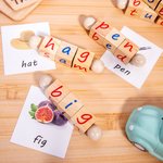 De originele Montessori leesblok en kaartenset