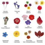 Collier Personnalisé Fleur de Naissance Collier en Goutte Fleur Séchée Cadeau Anniversaire Saint-Valentin Fête des Mère pour Elle