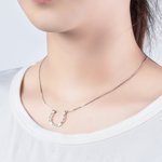 Collier Fer à Cheval Personnalisé avec Nom Gravé Cadeau pour Ami