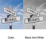 20th Anniversary Gift Platinum Frame Street Sign Painting with Double Names & Date