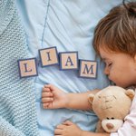 Woodland Nursery Decor Wooden Letter Blocks for Baby Set