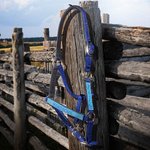 Personalised Soft Multicolour Horse Halter Noseband Protector Cover with Embroidered Text Equestrian Accessories Birthday Gift for Horse Lovers