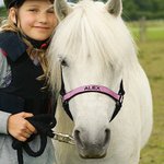 Personalised Soft Multicolour Horse Halter Noseband Protector Cover with Embroidered Text Equestrian Accessories Birthday Gift for Horse Lovers