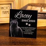 Personalised Photo Portrait Memorial Cat GraWaistcoatone Loss of Pet Gift