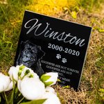 Personalised Photo Portrait Memorial Cat GraWaistcoatone Loss of Pet Gift