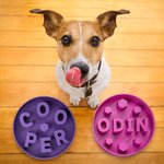 Divertido comedero personalizado para perros con nombre impreso en 3D de varios tamaños para los amantes de las mascotas
