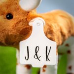 Engraved Longhorn Cow Stuffed Animals Plushies