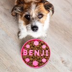 Divertido comedero personalizado para perros con nombre impreso en 3D de varios tamaños para los amantes de las mascotas