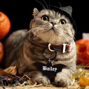 Personalisiertes Gothic Haustier Acryl-Namensschild in Form von Fledermaus Sarg Hund Katze ID-Anhänger 2er Set Halloween-Kostüm Accessoires
