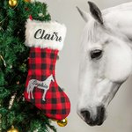 Bas de Noël à carreaux rouges personnalisés avec silhouette d'animal domestique