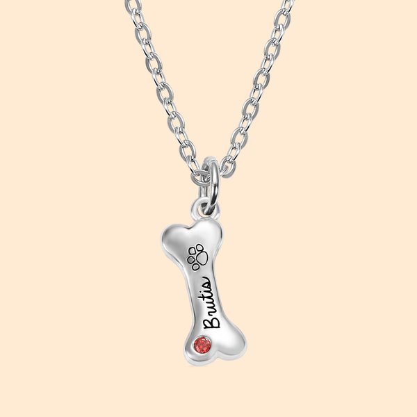 Collier Personnalisé avec Prénom Gravé et Pierre de Naissance Incrustée Pendentif d'Os en Argent Sterling Cadeau pour Amoureux de Chien