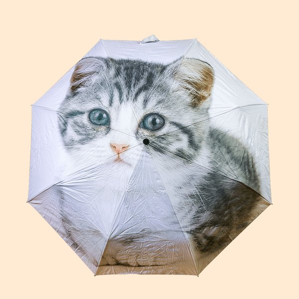 Printed Photo Umbrella