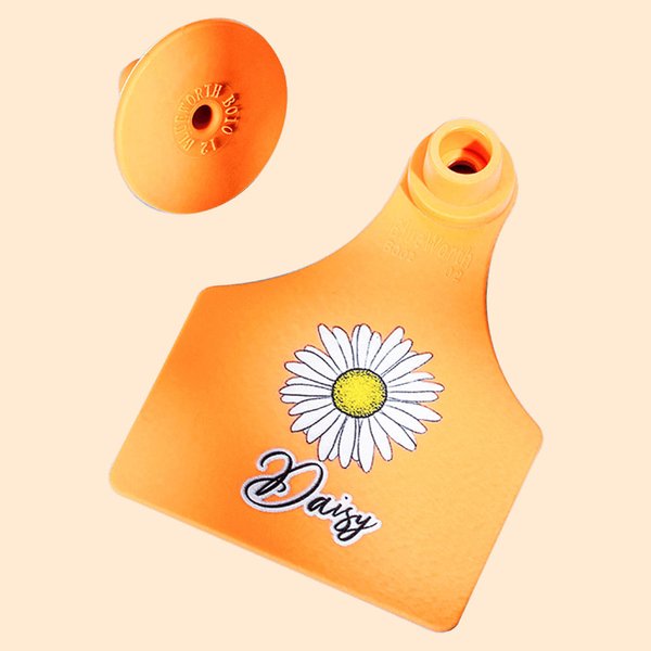 Etiquetas auriculares personalizadas para vacas Etiquetas para terneros