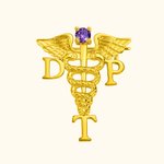 Épingle de diplôme de médecine Caducée RN Nurse avec pierre de naissance