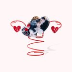 Porte-Bouteille de Vin en Métal Décoration Artistique Personnalisé avec Photo de Couple et Initiale Cadeau d'Anniversaire St Valentin pour Couple