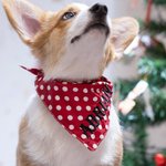Bandana pour chien brodé personnalisé Bandana pour animaux de compagnie Lattice Polka Dot