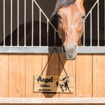 Personalised Laser Engraved Wooden Name Plate with Horse