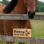 Personalised Laser Engraved Wooden Name Plate with Horse