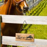 Personalised Laser Engraved Wooden Name Plate with Horse