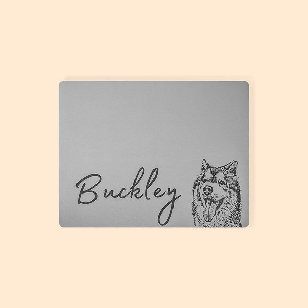 Custom Name Pet Mat Photo Dog Food Mat