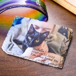 Personalised Colourful Photo Rock Slate for Memorial