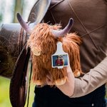 Highland Cow Stuffed Animal with Personalised Ear Tag Plush Toy