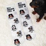 Chaussettes unisexes personnalisées multicolores avec photo de tête de chien