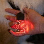 Personalizada en forma de pata y hueso LED acrílico collar de perro con el nombre de 7 colores de luz Perros de Seguridad Noche Caminar Camping Acceso