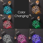 Personalizada en forma de pata y hueso LED acrílico collar de perro con el nombre de 7 colores de luz Perros de Seguridad Noche Caminar Camping Acceso