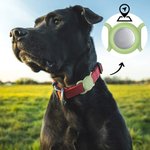 Gepersonaliseerde Silicone AirTag Houder voor Halsband met Gegraveerde Naam Telefoon Nummer Huisdier Portret Benodigdheden Cadeau voor Hond Huisdier Liefhebbers