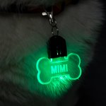 Personalizada en forma de pata y hueso LED acrílico collar de perro con el nombre de 7 colores de luz Perros de Seguridad Noche Caminar Camping Acceso