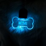 Personalizada en forma de pata y hueso LED acrílico collar de perro con el nombre de 7 colores de luz Perros de Seguridad Noche Caminar Camping Acceso