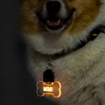 Personalizada en forma de pata y hueso LED acrílico collar de perro con el nombre de 7 colores de luz Perros de Seguridad Noche Caminar Camping Acceso