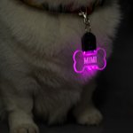 Personalizada en forma de pata y hueso LED acrílico collar de perro con el nombre de 7 colores de luz Perros de Seguridad Noche Caminar Camping Acceso