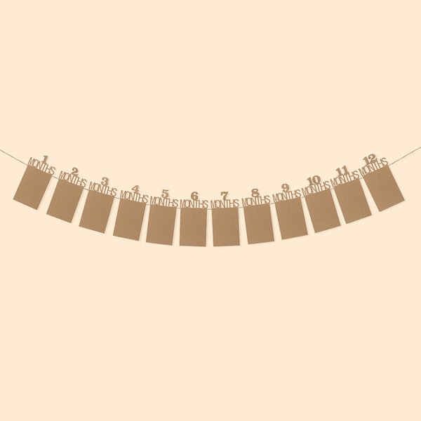 Personalised One Year Photo Banner Monthly Photo Birthday Banner