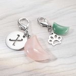 Collier d'animal de compagnie personnalisé Charm lune en cristal