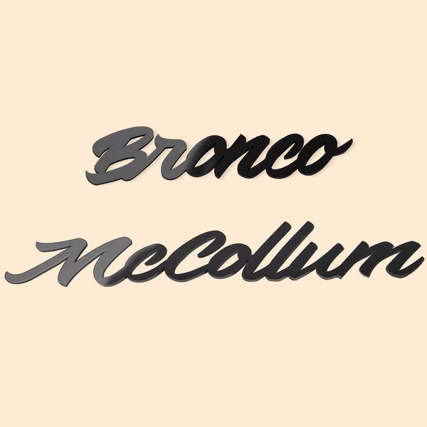 Personalised 2pcs Car Emblem Acrylic Name Badge