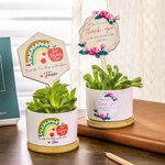 Gepersonaliseerde leraar plantstokken en bloempot voor leraar Waardering Gift