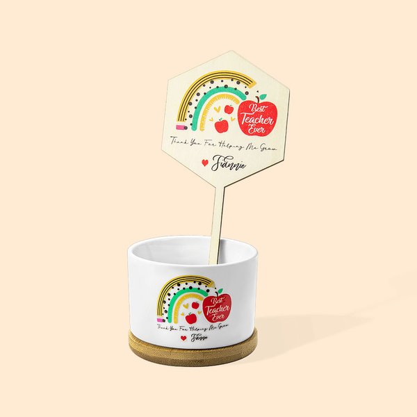 Gepersonaliseerde leraar plantstokken en bloempot voor leraar Waardering Gift