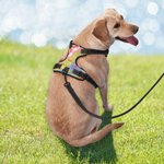 Gepersonaliseerd Drievoudig Gelaagd Ademend Mesh Verstelbaar Honden Borst Harnas