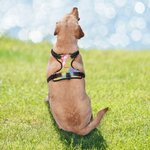 Gepersonaliseerd Drievoudig Gelaagd Ademend Mesh Verstelbaar Honden Borst Harnas