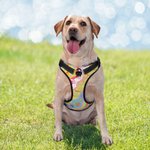 Gepersonaliseerd Drievoudig Gelaagd Ademend Mesh Verstelbaar Honden Borst Harnas