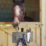 Panneau de stalle pour chevaux en bois peint, personnalisé, pour la grange