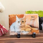 Ardoise de Pierre Commémorative Personnalisée pour Amoureux des Animaux Domestiques