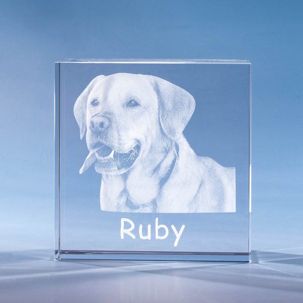 Henkilökohtainen lemmikkieläinten muistomerkki 3D Photo Crystal Square Keepsake lahja