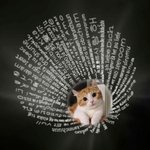 Collier Projection Personnalisé avec Photo Collier Commémoratif en 100 Langues Cadeau de d'Anniversaire pour Amoureux des Chats
