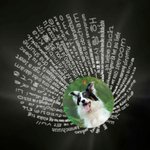 Collar Personalizado 100 Lenguas Te Quiero Foto Proyección Pata de Perro con Inicial