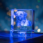 Cadeau commémoratif personnalisé en cristal avec photo 3D pour animaux de compagnie