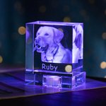 Cadeau commémoratif personnalisé en cristal avec photo 3D pour animaux de compagnie